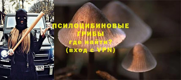 ешки Остров