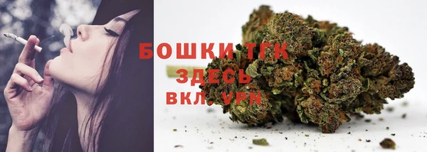 шишки Переславль-Залесский