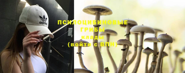 прущая мука Гатчина