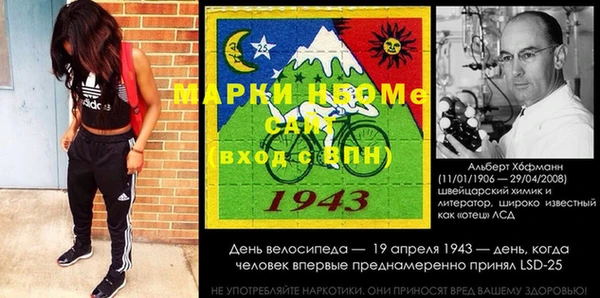 шишки Переславль-Залесский