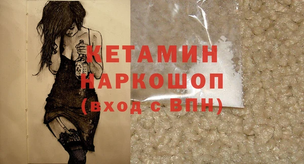 шишки Пересвет