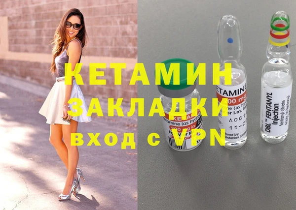 шишки Переславль-Залесский