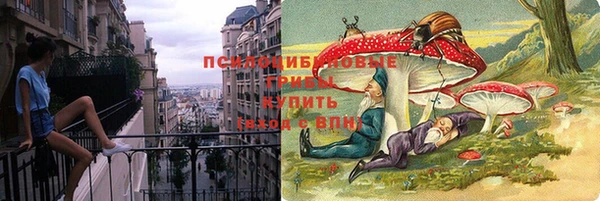 шишки Пересвет