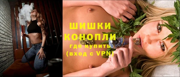шишки Переславль-Залесский