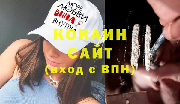 шишки Пересвет