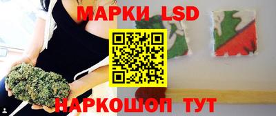 ALPHA PVP Камышлов