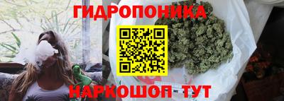 ALPHA PVP Камышлов