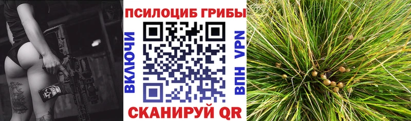Галлюциногенные грибы мицелий  купить закладку  Биробиджан 