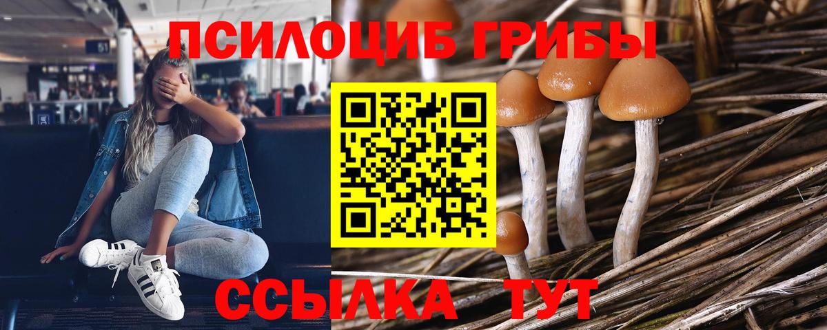 Галлюциногенные грибы мицелий Биробиджан