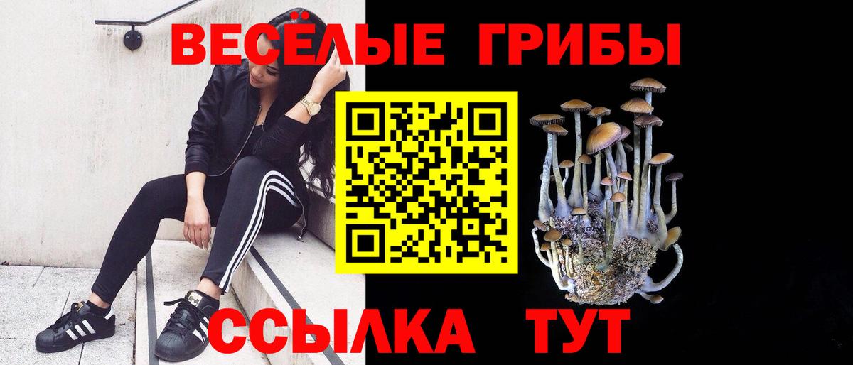 Галлюциногенные грибы мицелий  Вход с VPN  Галлюциногенные грибы прущие грибы  Биробиджан 